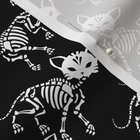Cute skeletons of cats