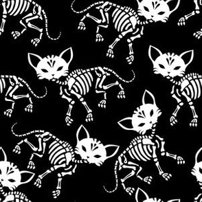 Cute skeletons of cats