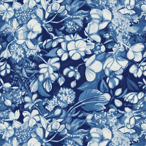 begonia_blue_porcelain