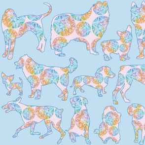 Dogs Kaleidoscope Rainbow