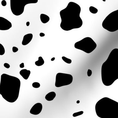 Dalmation