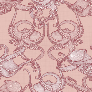 Cephalopod - Octopi - Blush