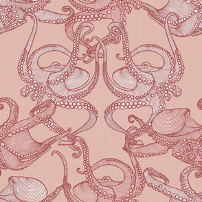 Cephalopod - Octopi smaller_blush