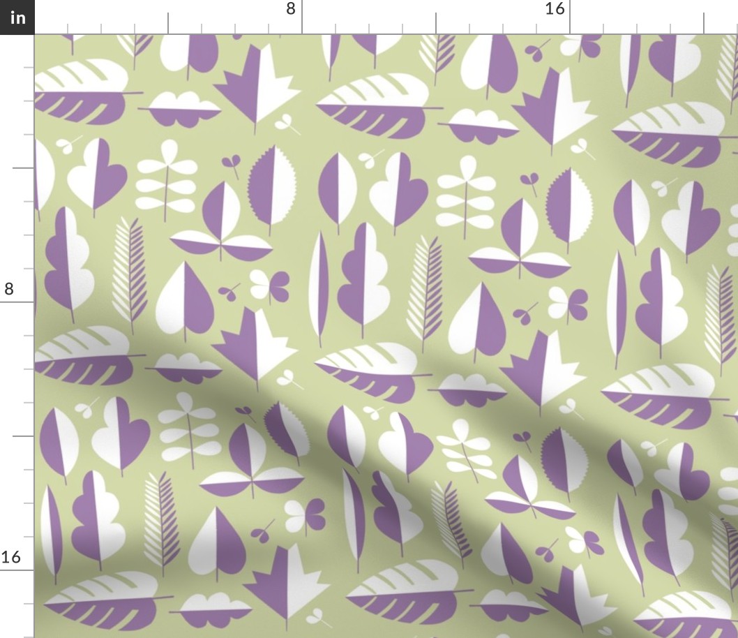 Minimal leaves in sage and lilac