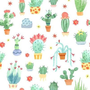Watercolor cacti on white