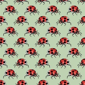 Funky ladybug 