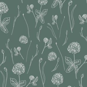 Clover on grey background