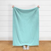 color pale turquoise