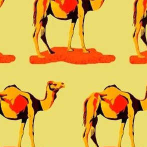 Camel