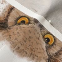 Owl Placemats