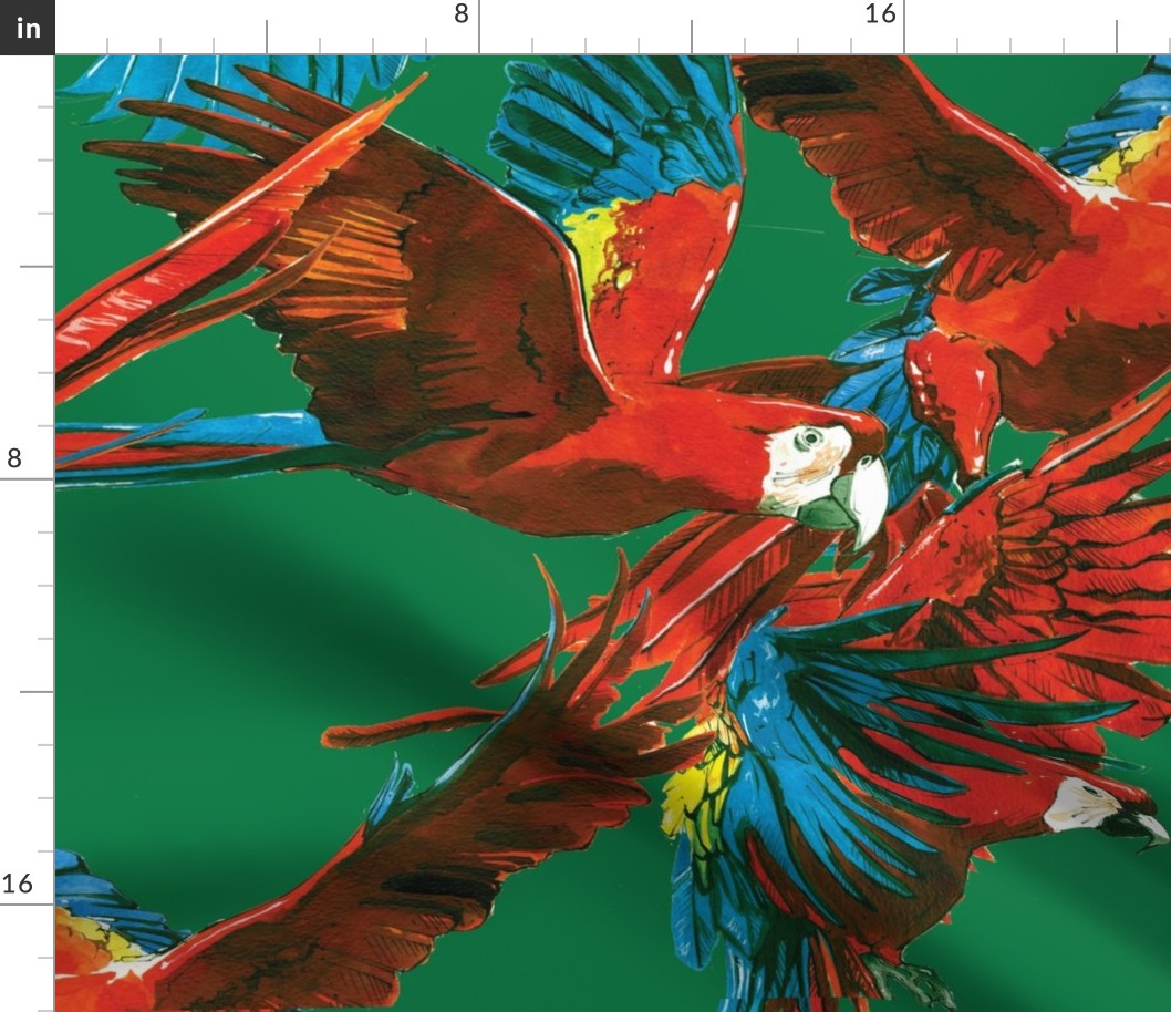 Scarlet Macaws in Flight 