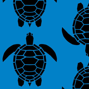 Jumbo Black Turtles on Turquoise Blue
