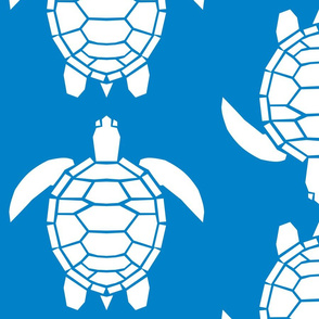 Jumbo White Turtles on Turquoise Blue