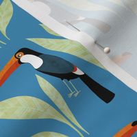 Toucan Small Scale