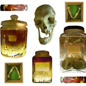 Things in Jars