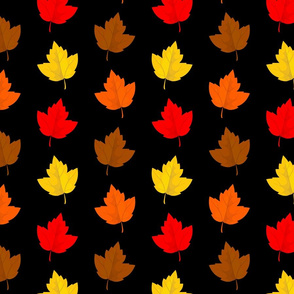 Colorful Fall Leaves with Black Background (Medium Size)