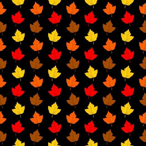 Colorful Fall Leaves with Black Background (Small Size)