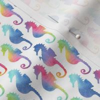 Seahorses - rainbow #2