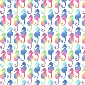 Seahorses - rainbow #2