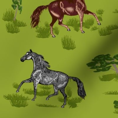 Horses_B_8