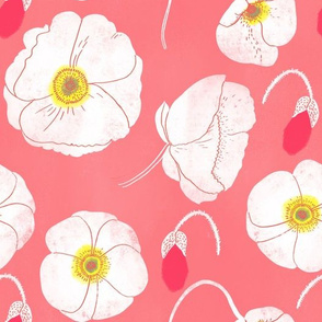 poppies on warm pink