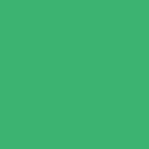 color medium sea green