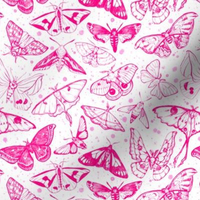  Moth Magic in Pink 1/2 size