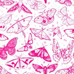  Moth Magic in Pink 1/2 size