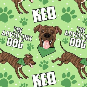 Keo the Adventure Dog
