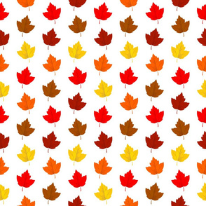 Colorful Autumn Leaves (Small Size)