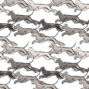 Running Greyhounds