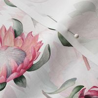 9" Hand drawn watercolor protea flower blush floral