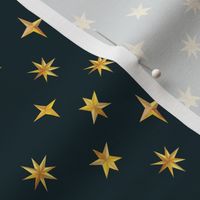 Painted Stars {Night} - small scale