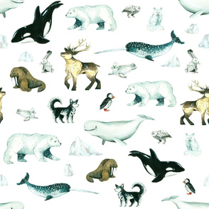 Arctic Pals / Watercolour Arctic Animals on White Background