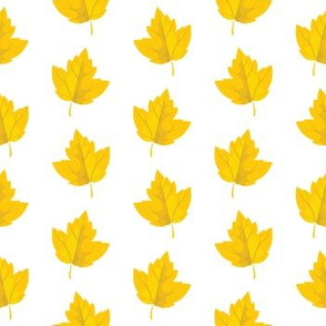 Yellow Autumn Leaves (Small Size)