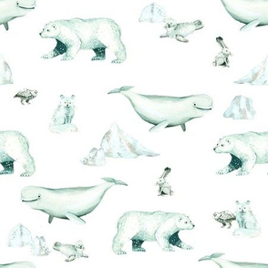 White Arctic Animals and Ice on White Background - Smaller Size