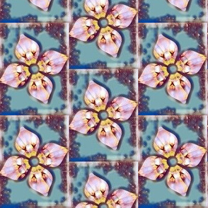 Framed Blooms - V.6