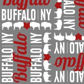 Buffalo, NY, Gray & Red