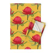 Australian Waratah Magic Garden - gold, Large 