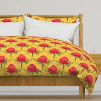 Australian Waratah Magic Garden - gold, Large 