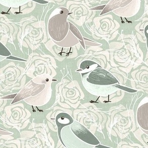 Little Bird Botanical - soft sage green - medium