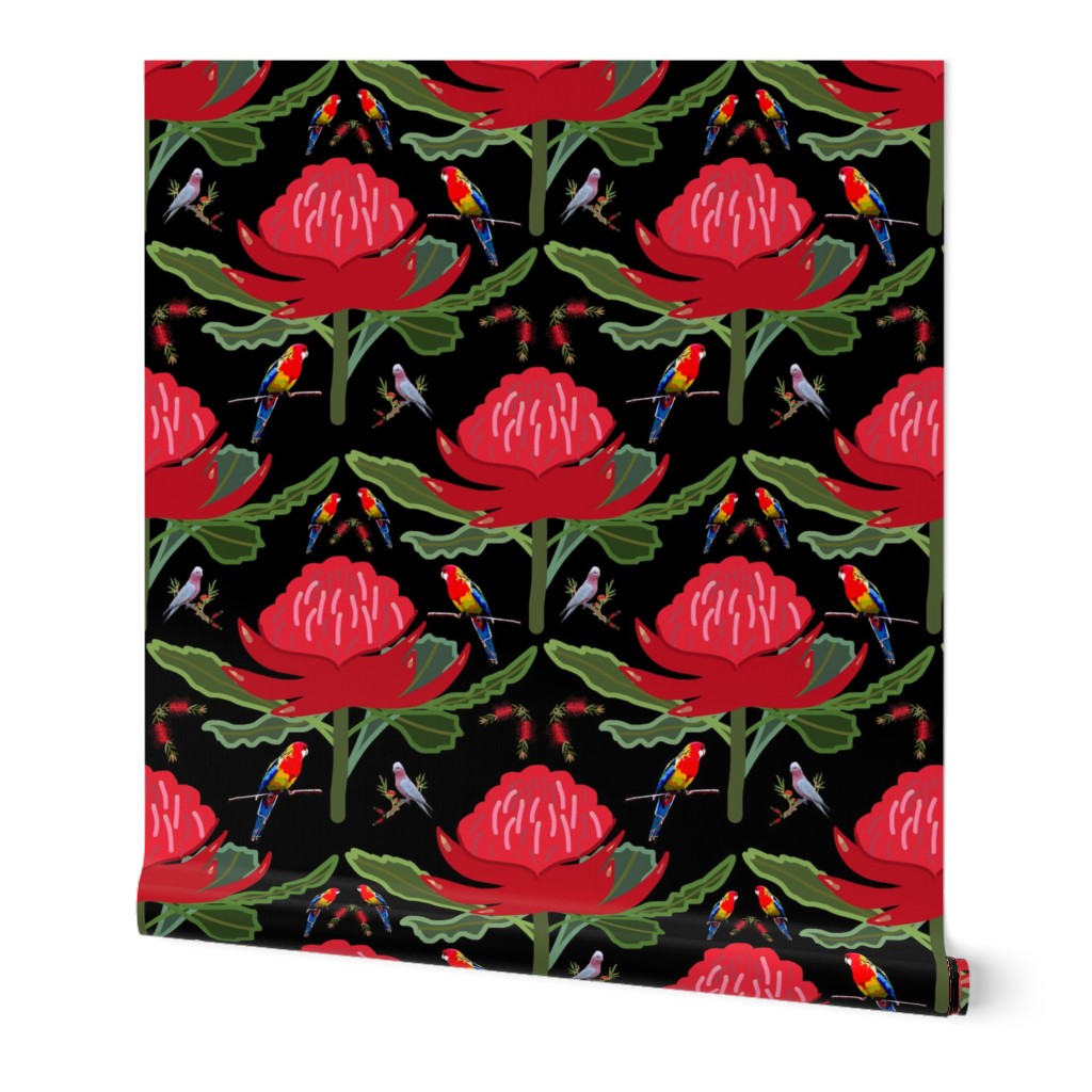 Australian Waratah Fantasy Garden - black, medium