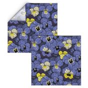 Pansy Blue Spring Flowers