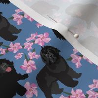 Newfoundland Dog with  pink oleander flowers small print dog fabric