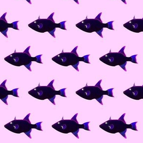 Ocean Triggerfish black on pink