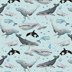 Whale Fun Pale Blue Ground (Medium Scale)