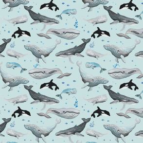 Whale Fun Pale Blue Ground (Smaller Scale)