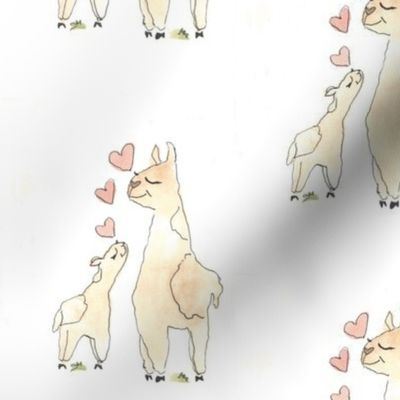 Llama  Mama