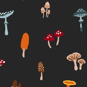 Colourful Toadstools - Medium Scale (Black)