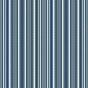 Cabana Stripe Gray Blue